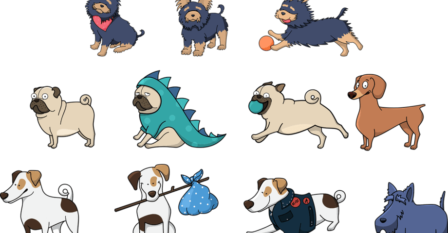 ¿Perros en la oficina?: 8 consideraciones antes de abrirles la puerta