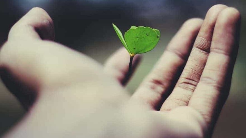 Cómo invertir en el negocio propio para que crezca Cómo invertir en el negocio propio para que crezca