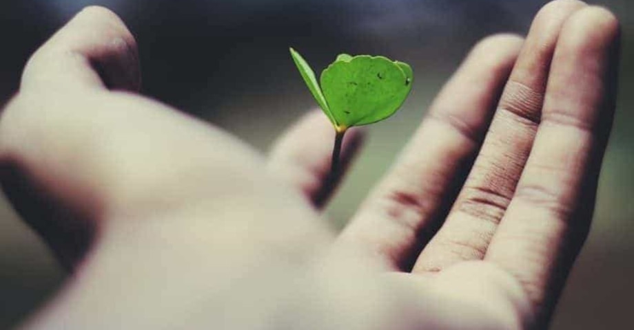 Cómo invertir en el negocio propio para que crezca