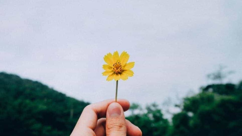 Pequeños consejos para que te guste tu trabajo y te haga sentir satisfecho Pequeños consejos para que te guste tu trabajo y te haga sentir satisfecho