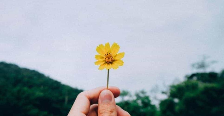 Pequeños consejos para que te guste tu trabajo y te haga sentir satisfecho