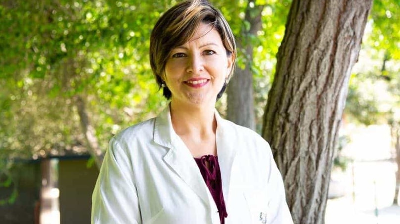 Médicos: en el futuro más competencias digitales Médicos: en el futuro más competencias digitales