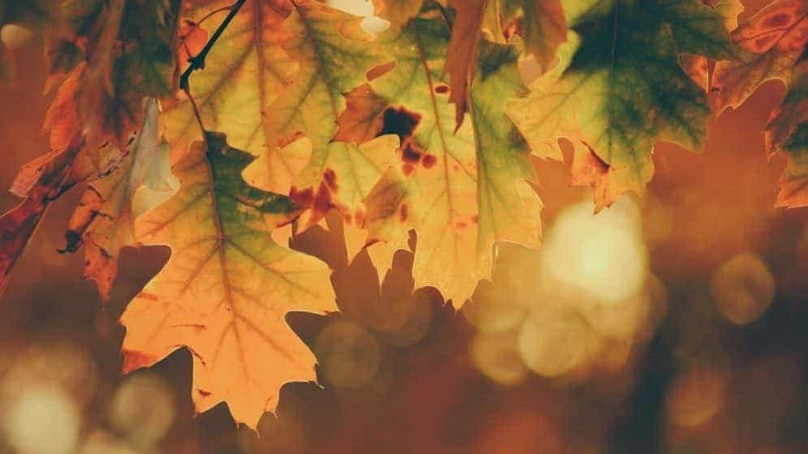 Volver al trabajo con un listado de buenas intenciones para el otoño Volver al trabajo con un listado de buenas intenciones para el otoño