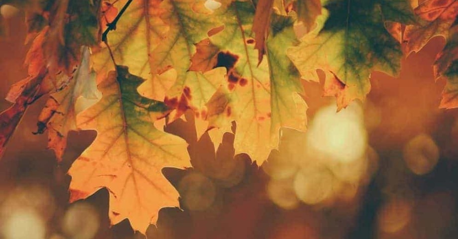 Volver al trabajo con un listado de buenas intenciones para el otoño