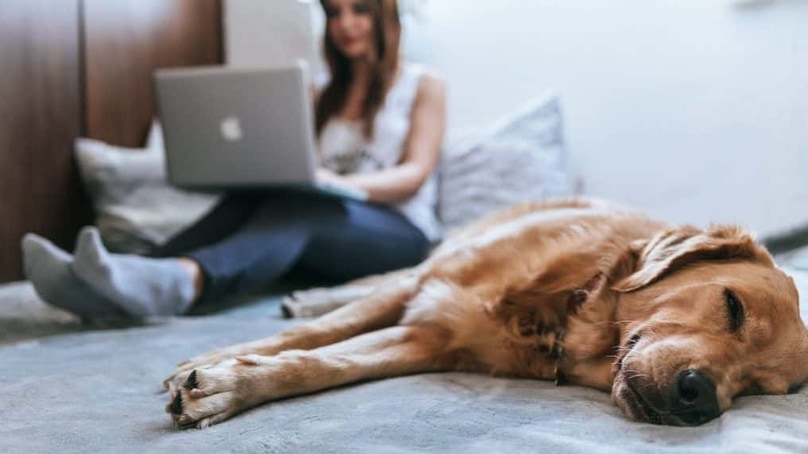 La productividad aumenta si mejora el bienestar de las personas La productividad aumenta si mejora el bienestar de las personas