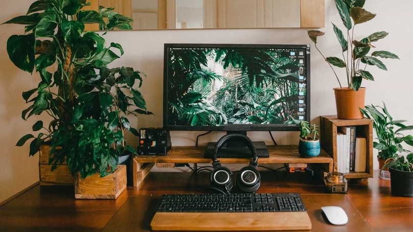 Oficina en casa: plantas para un mejor entorno de trabajo Oficina en casa: plantas para un mejor entorno de trabajo