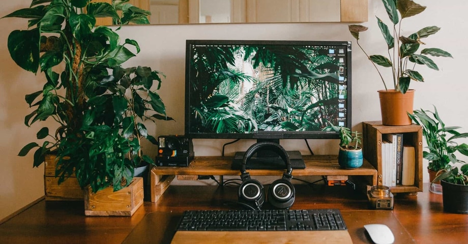 Oficina en casa: plantas para un mejor entorno de trabajo