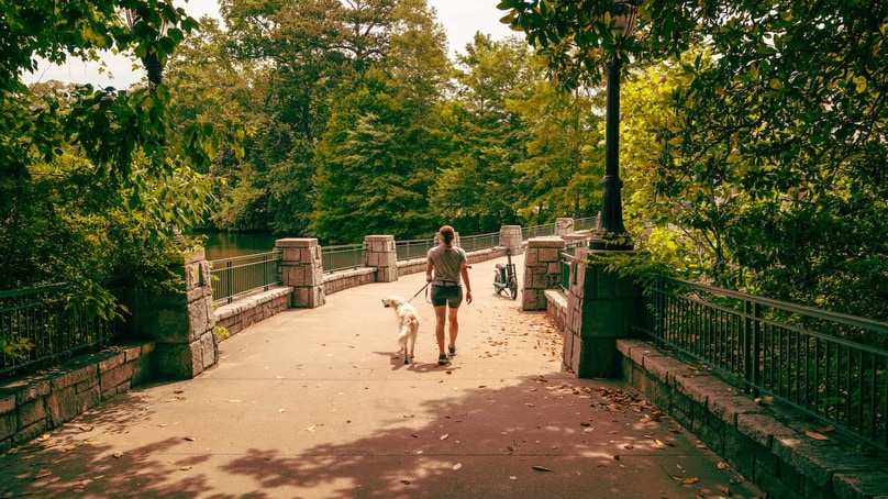 Lucha contra la fatiga mental y recupera la concentración en tan solo 10 minutos Lucha contra la fatiga mental y recupera la concentración en tan solo 10 minutos