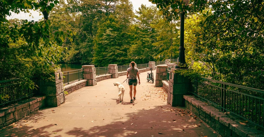 Lucha contra la fatiga mental y recupera la concentración en tan solo 10 minutos